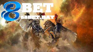 88Bet đá gà – Sân chơi đá gà trực tuyến lớn nhất Việt Nam 2 88BET da ga 01