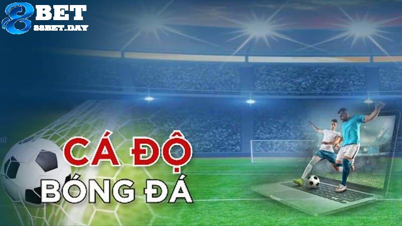 Giải đáp thắc mắc: Có nên từ bỏ cá độ bóng đá hay không? 4 Có nên từ bỏ cá độ bóng đá là câu hỏi nhức nhối trên các diễn đàn trực tuyến